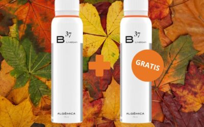 2×1 en Algémica B37 (FINALIZADA)